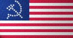 unitedsocialiststatesofamericaflag