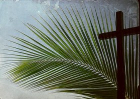 palm-sunday
